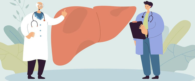 Red Light Therapy and Liver Health: A Detailed Exploration